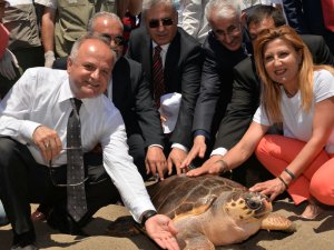 Mersin'de Korykos ve Kilikya adlı deniz kaplumbağaları 3 yıl sonra denizle buluştu