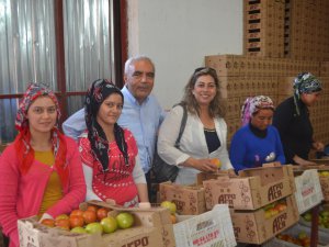 CHP'li Baysan: Köylünün yanındayız