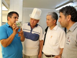 Kırgız bilim adamları Alata'da