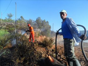 Anamur'un Ovabaşı Mahallesi'nde yangın: 50 zeytin ağacı, 120 badem fidesi yandı