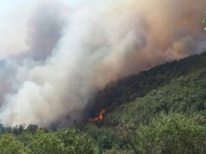 Silifke'de orman yangını: 15 hektarlık alan kül oldu
