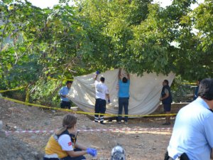 Bozyazı'da Ahmet Toprak, kendini ceviz ağacına astı