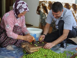 Silifke Belediye Başkanı Mustafa Turgut, ziyaret ettiği evlerde zeytin kırdı