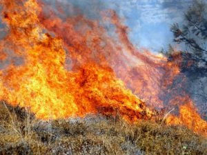Silifke'de orman yangını: 2 hektar kızılçam ormanı yandı
