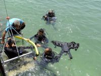 Mersin Büyükşehir Belediyesi havuzda başlayan projeyi denize taşıdı