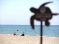 Anamur'da tatilciler caretta carettalarla aynı sahili paylaşıyor