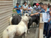 İştar kursiyeri çocuklar, Tarsus Hayvanat Bahçesi'ni gezdi