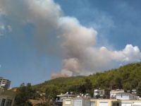 Anamur'da orman yangını
