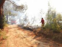 Mut'daki orman yangını kontrol altına alındı