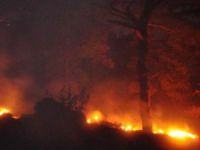 Anamur'daki orman yangını tamamen söndürüldü