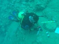 Mersin'de 5 bin yıllık deniz yolları ve antik gemi tersaneleri keşfedildi