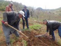 Mersin Ziraat Odası Başkanı Cengiz Gökçel, “Çiftçinin yanındayız”