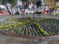Silifke Belediyesi, 100 bin adet mevsimlik çiçeği toprakla buluşturdu