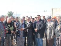 Mut Belediyesi, çiftçiye 4 bin zeytin fidanı dağıttı