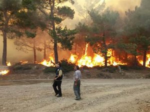 Gülnar'daki yangınla ilgili bir çoban gözaltına alındı