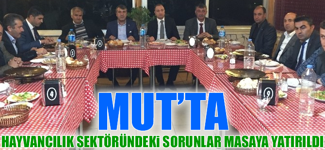 Mut’ta hayvancılık sektöründeki sorunlar masaya yatırıldı