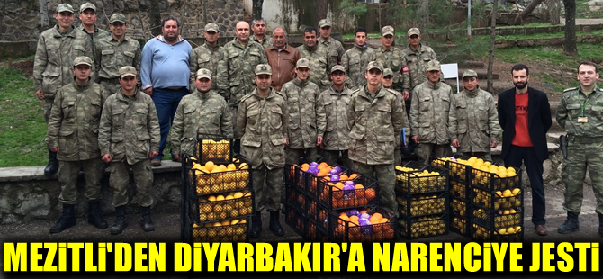 Mezitli'den Diyarbakır'a narenciye jesti