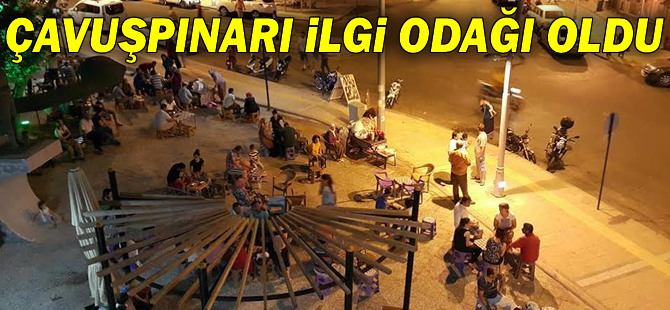 Çavuşpınarı İlgi Odağı Oldu