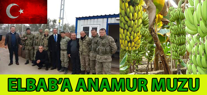 Elbab'a Anamur Muzu