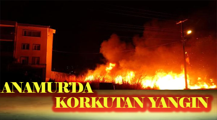 ANAMUR'DA KORKUTAN YANGIN