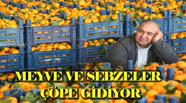 MEYVE VE SEBZELERİN %25 İ ÇÖPE GİDİYOR