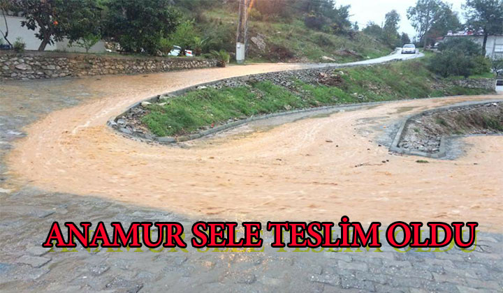 ANAMUR SELE TESLİM OLDU