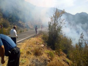 Aydıncıkta’ki Yangın Söndürüldü