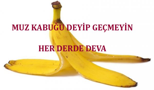 MUZ KABUĞU DEYİP GEÇMEYİN