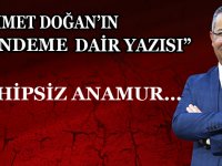 SAHİPSİZ ANAMUR...