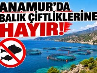 MERÇED'DEN BİLGİLENDİRME TOPLANTISI