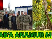 Elbab'a Anamur Muzu