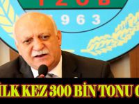 Muz Üretimi İlk Kez 300 Bin Tonu Geçti