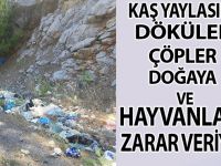 KAŞ YAYLASINA DÖKÜLEN ÇÖPLER DOĞAYA VE HAYVANLARA ZARAR VERİYOR