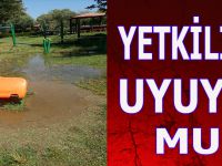 YETKİLİLER UYUYOR MU ?