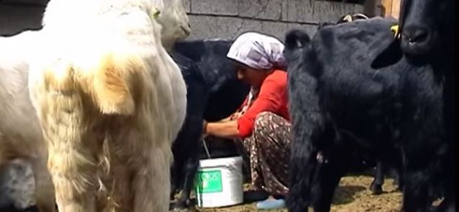 Toros Dağları'nda Hatice Gelin belgeseli